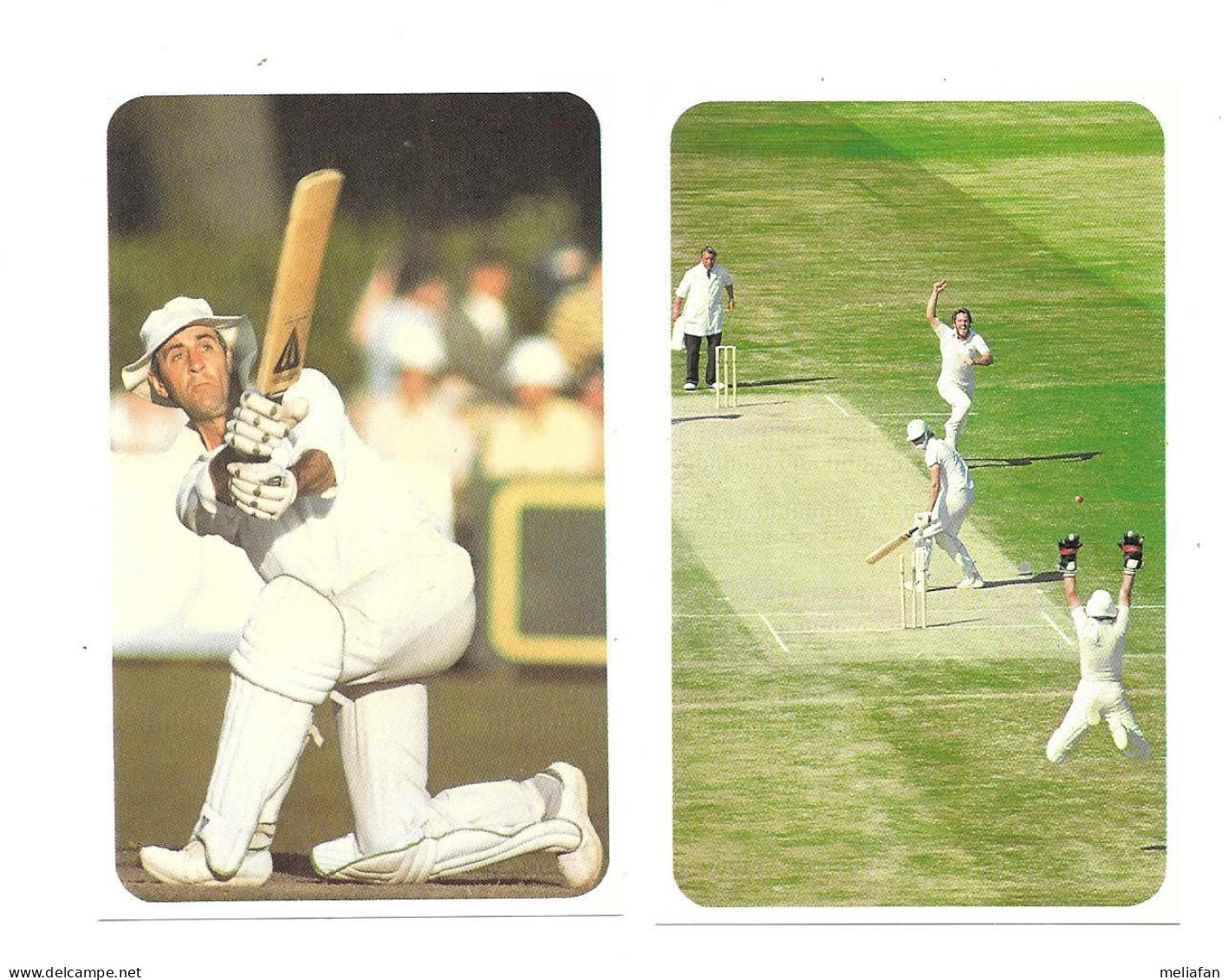 EH52 - CRICKET CARDS - MIKE BEARLEY - TERRY ALDERMAN - Altri & Non Classificati