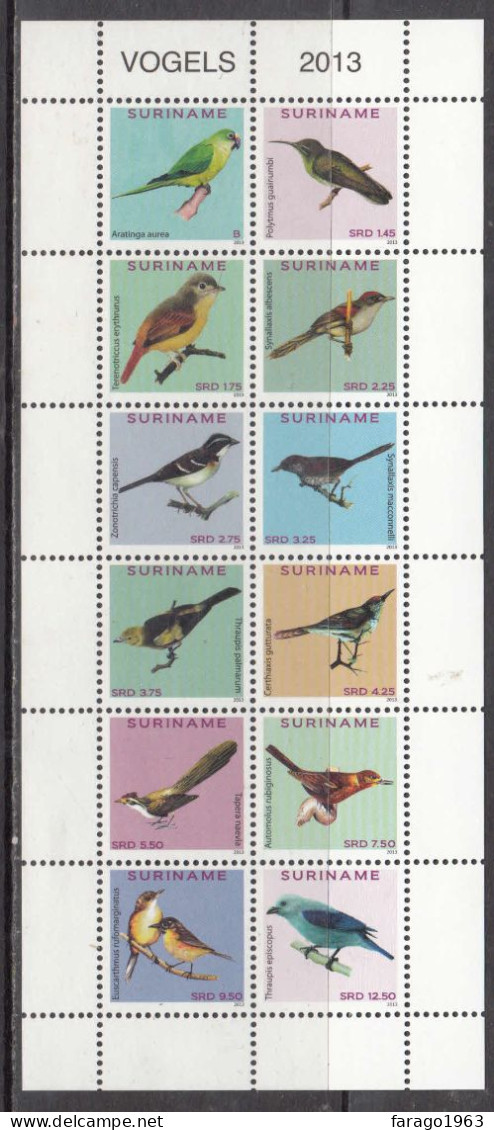 2013 Surinam Suriname Birds Miniature Sheet Of 12 MNH - Surinam