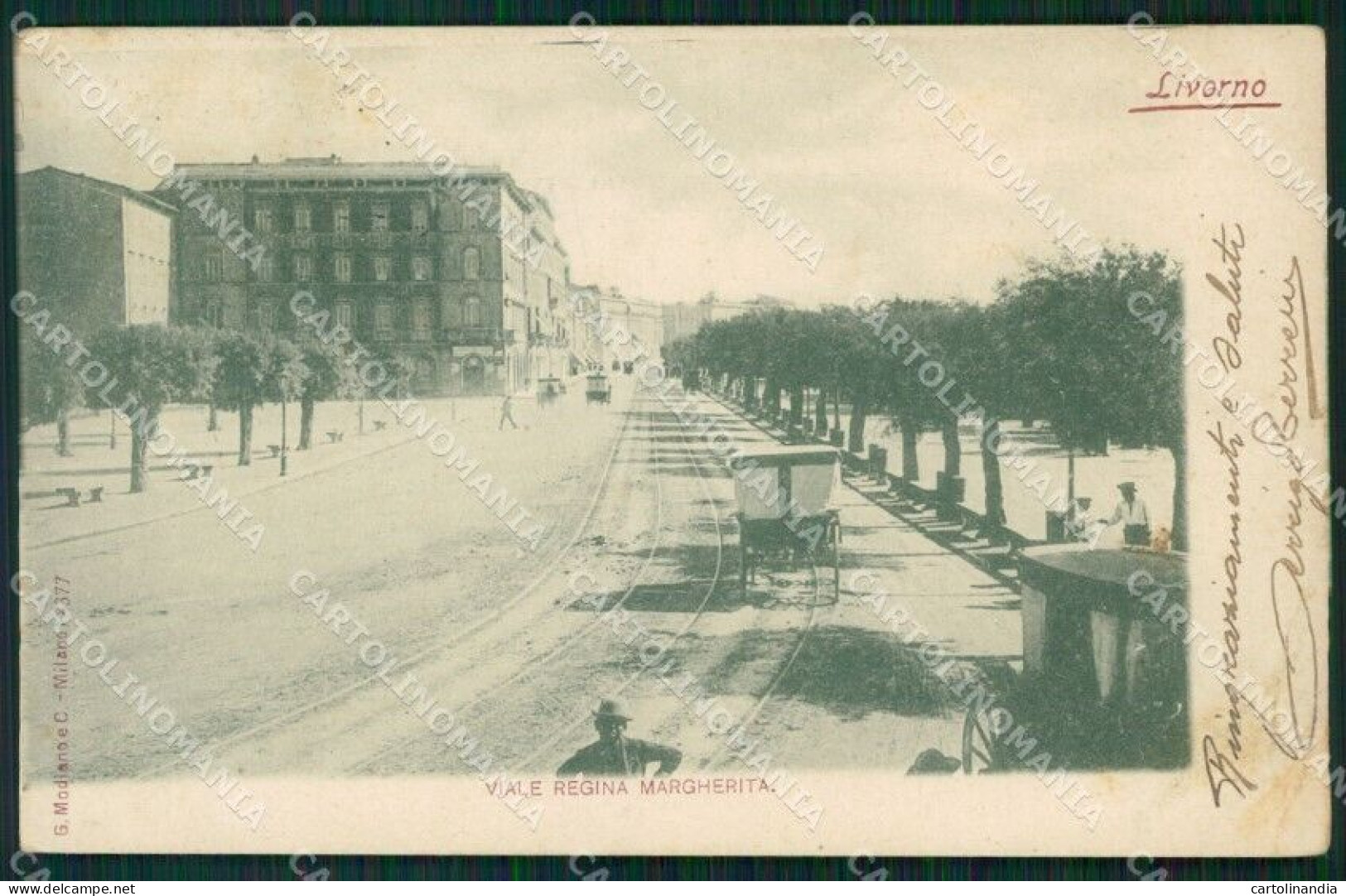 Livorno Città Viale Regina Margherita Carrozza PIEGHE Cartolina WX1551 - Livorno