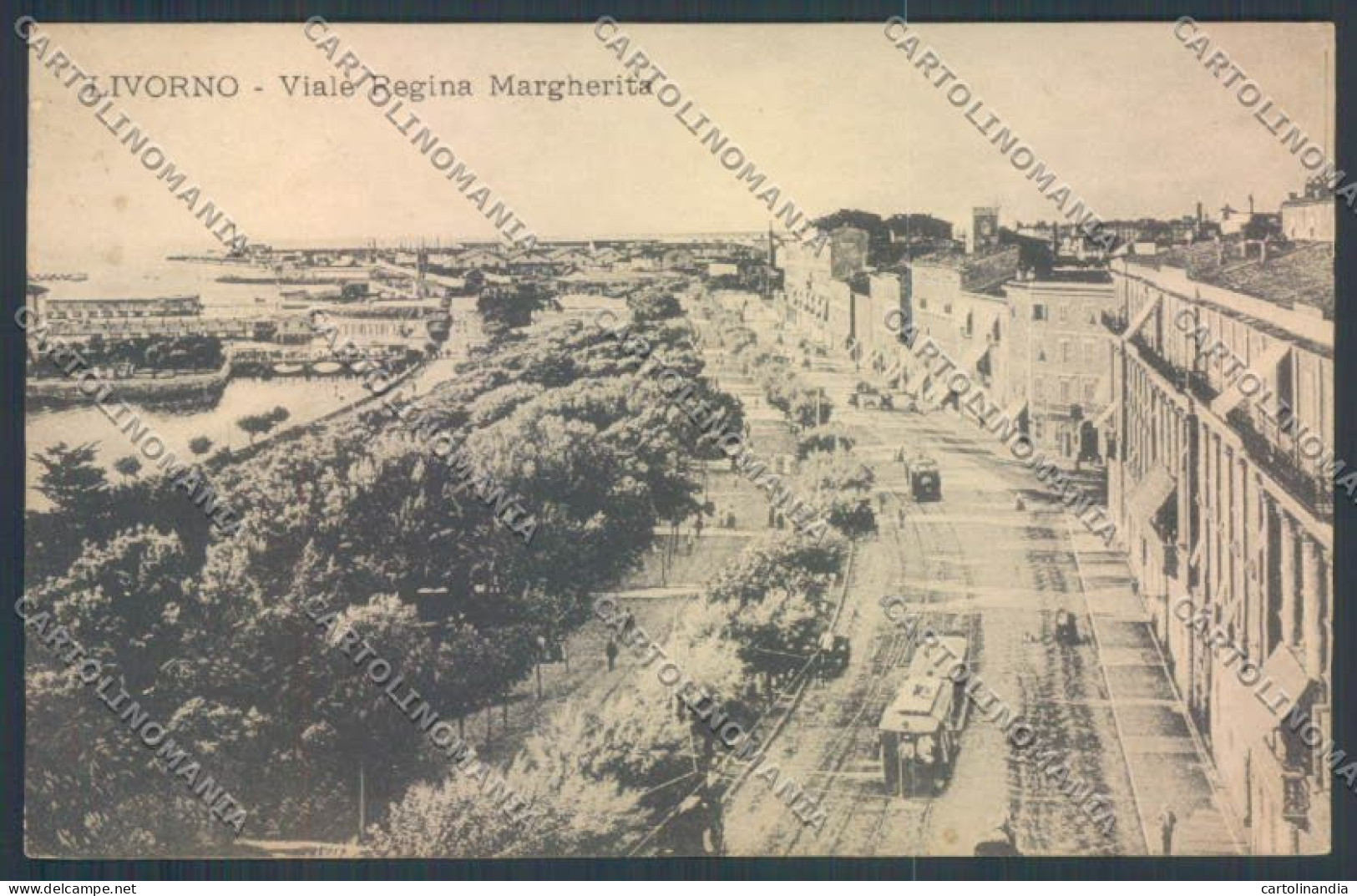 Livorno Città Viale Margherita Cartolina ZG1550 - Livorno