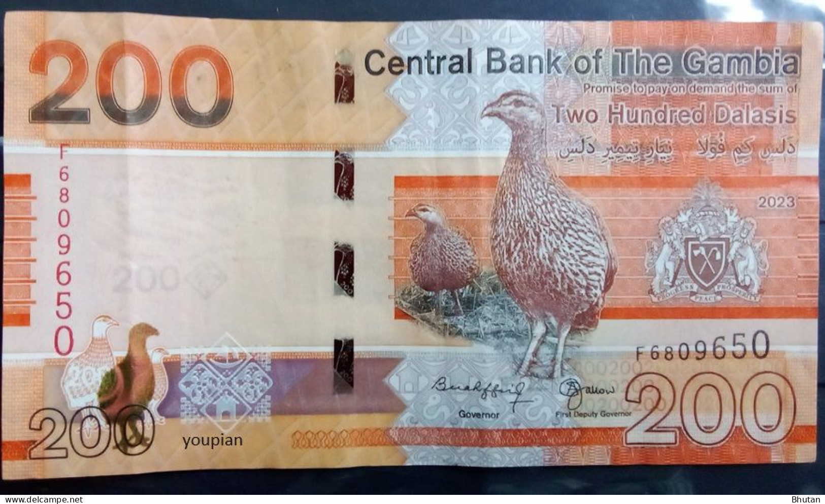 Gambia Banknote - 500 Gambian Dalasi - Sonstige – Afrika