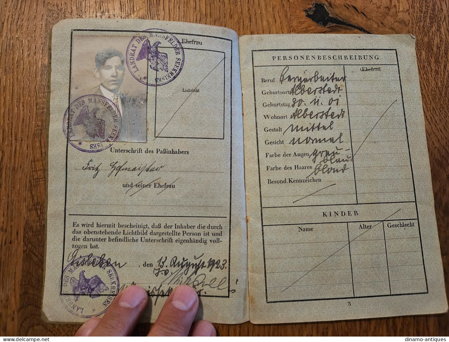 1923 Germany Passport Passeport Reisepass Issued In Eisleben - Historische Documenten