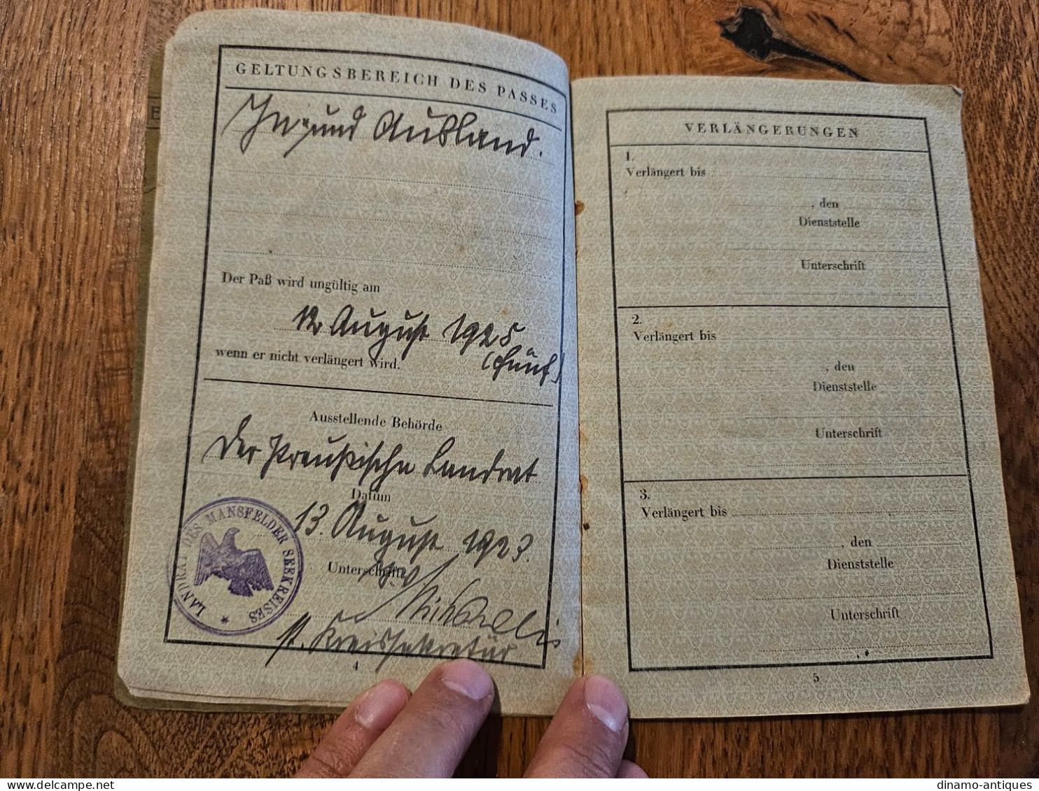 1923 Germany Passport Passeport Reisepass Issued In Eisleben - Documenti Storici