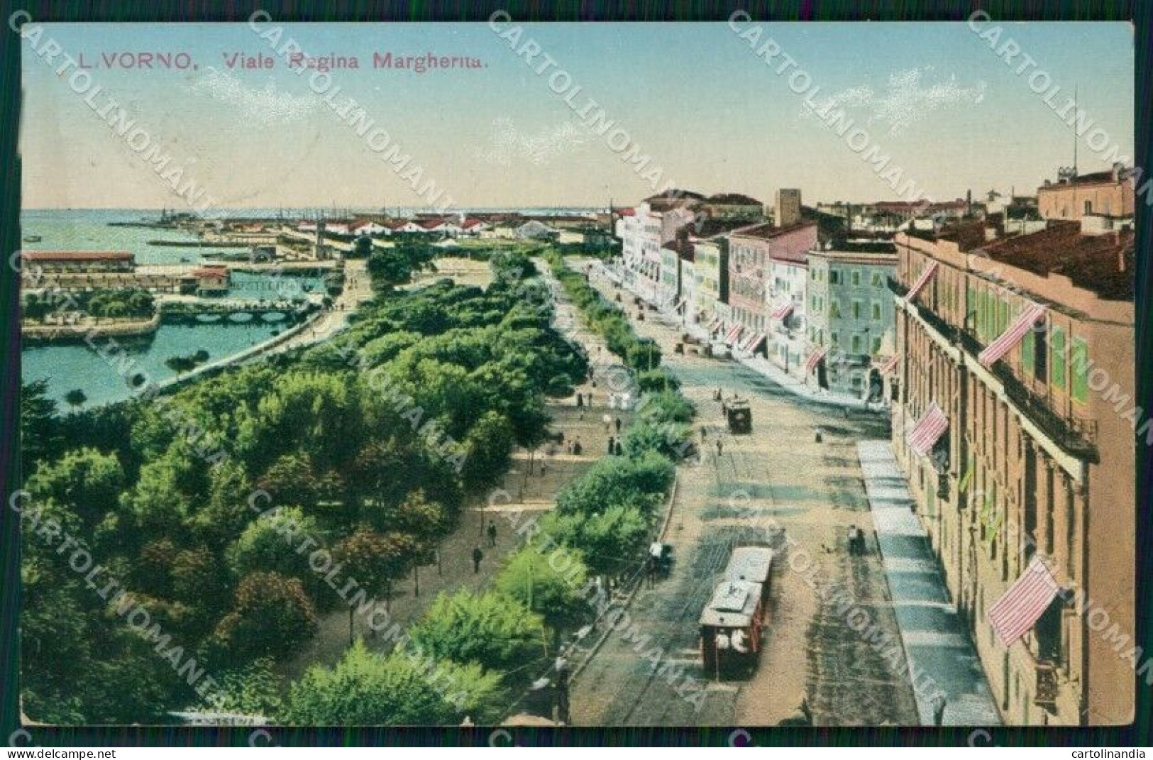 Livorno Città Viale Regina Margherita Tram FORI Cartolina WX1574 - Livorno