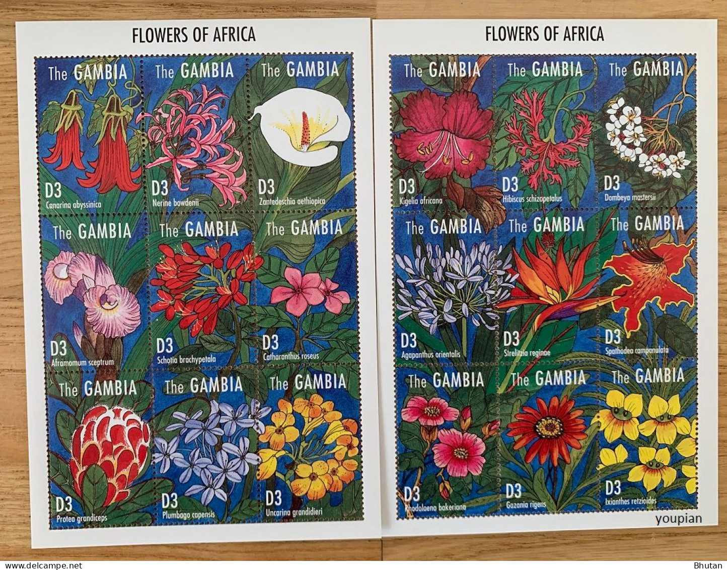 Gambia 1995, Flowers Of Africa, Two MNH S/S - Gambia (1965-...)