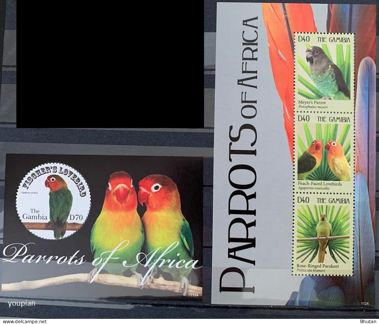 Gambia 2011, Parrots Of Africa, Two MNH S/S With One Unusual S/S - Gambie (1965-...)