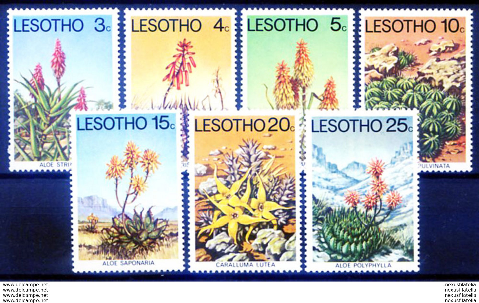 Flora. Piante Grasse 1977. - Lesotho (1966-...)