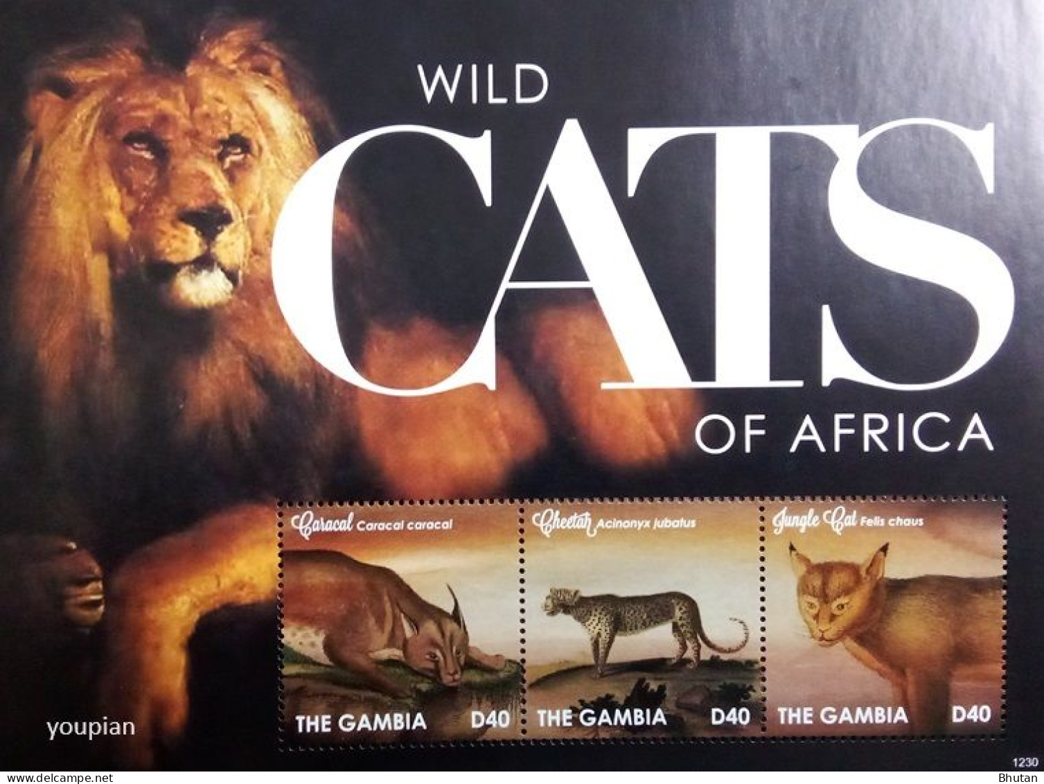 Gambia 2012, Wild Cats Of Africa, MNH S/S - Gambie (1965-...)