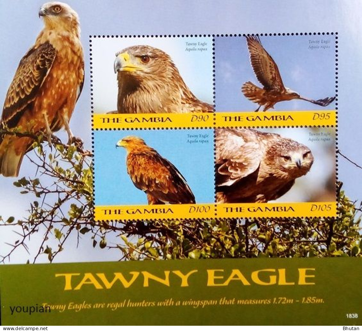 Gambia 2018, African Eagle, MNH S/S - Gambie (1965-...)