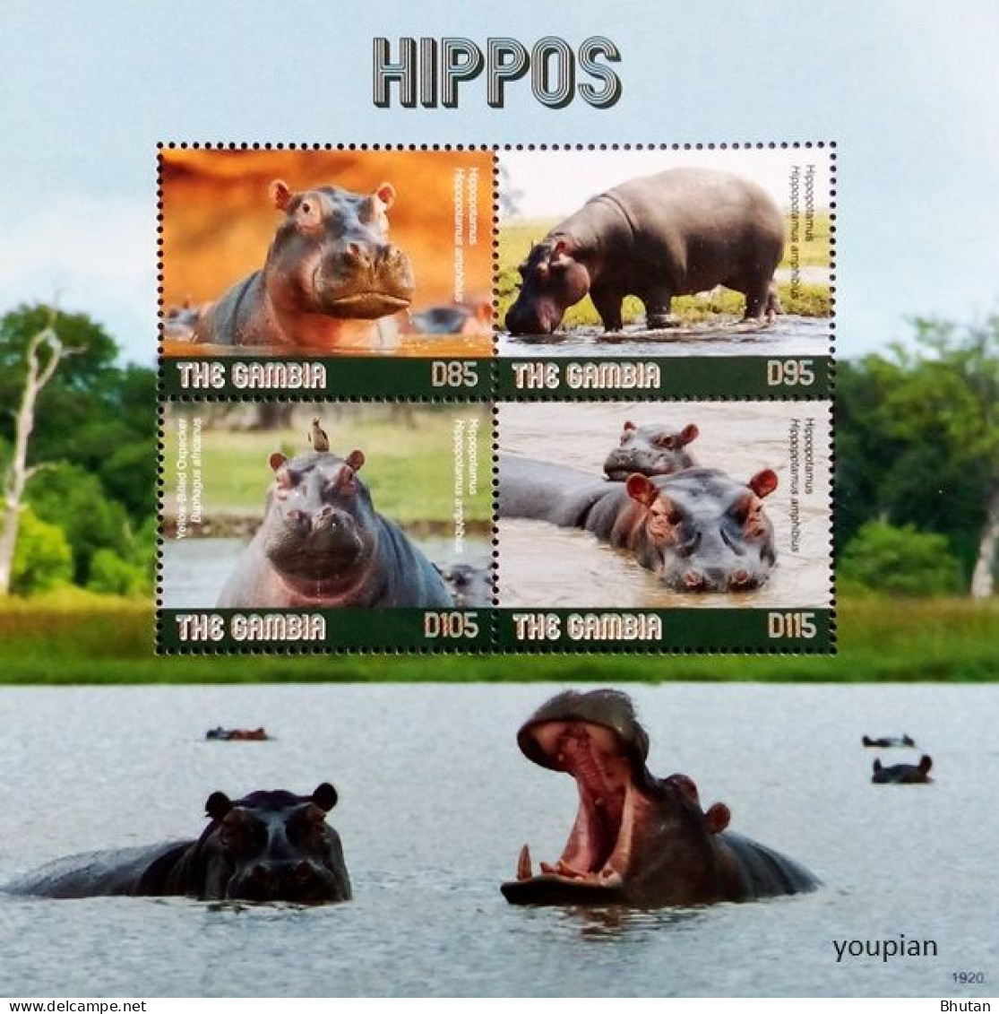 Gambia 2019, Hippos, MNH S/S - Gambia (1965-...)