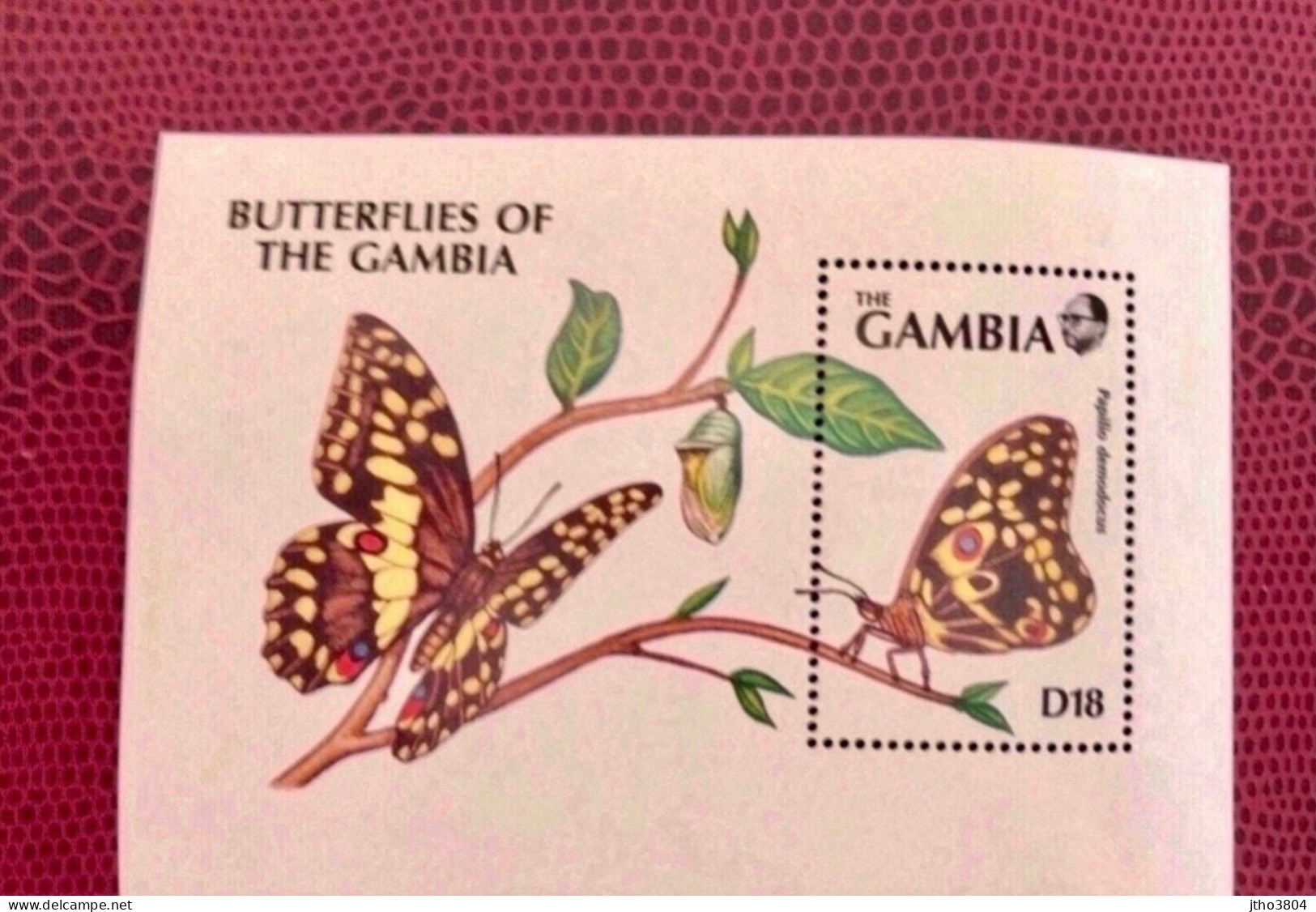 GAMBIE  2 Blocs Neuf MNH **  Farfalle Papillons Butterflies Mariposas Schmetterlinge GAMBIA - Butterflies