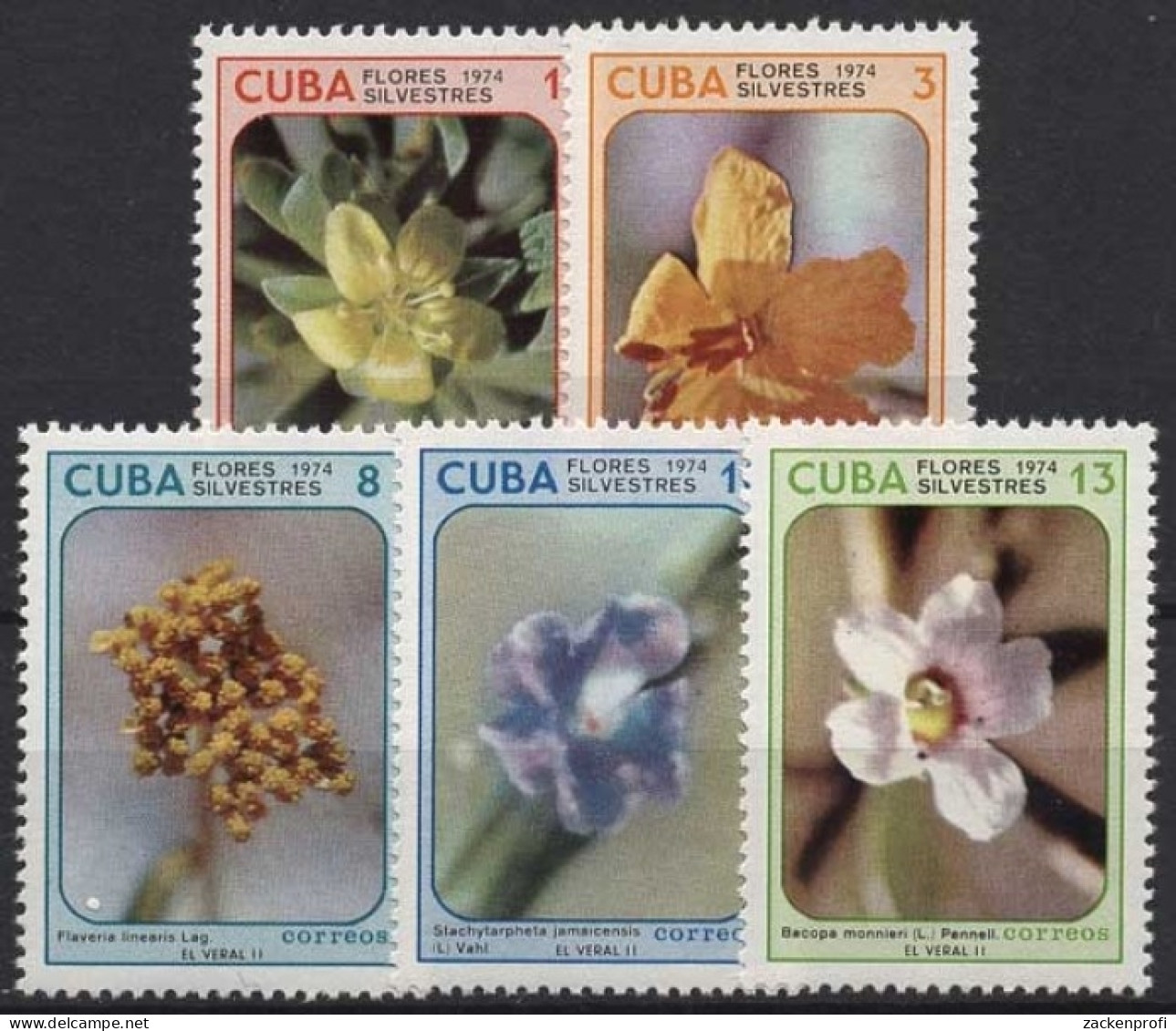 Kuba 1974 Pflanzen Wildwachsende Blumen 1995/99 Postfrisch - Ungebraucht