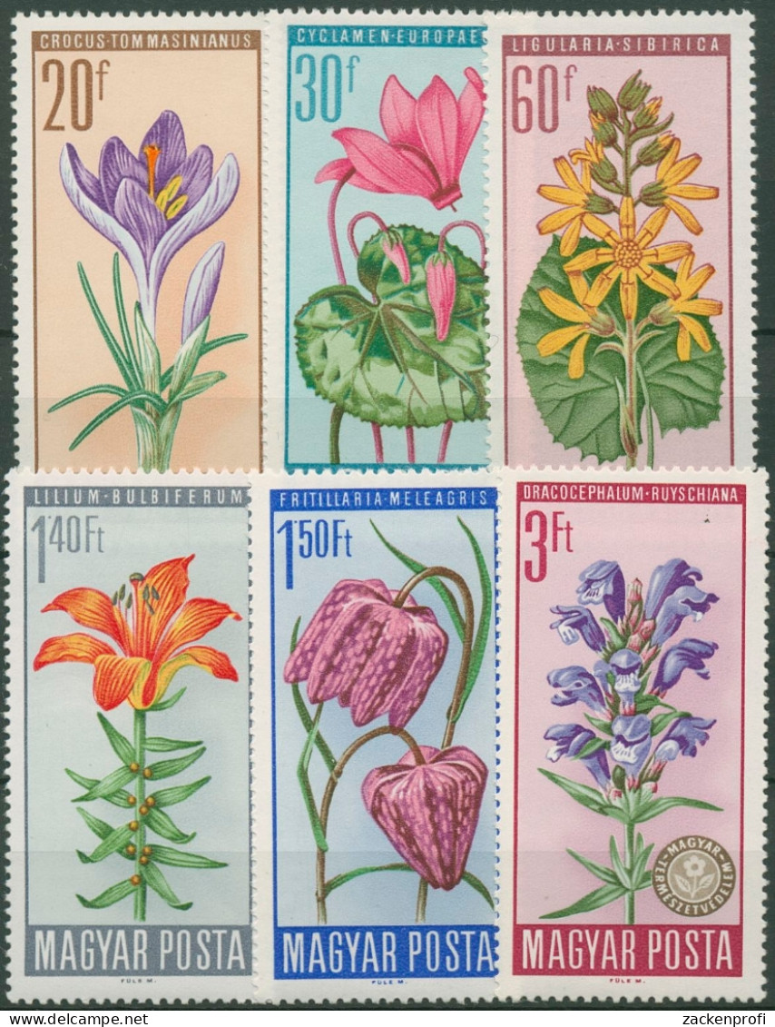 Ungarn 1966 Pflanzen Geschützte Blumen 2212/17 A Postfrisch - Unused Stamps