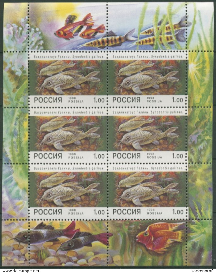 Russland 1998 Zierfische Fische Kleinbogen 648 K Postfrisch (C16852) - Blocks & Kleinbögen