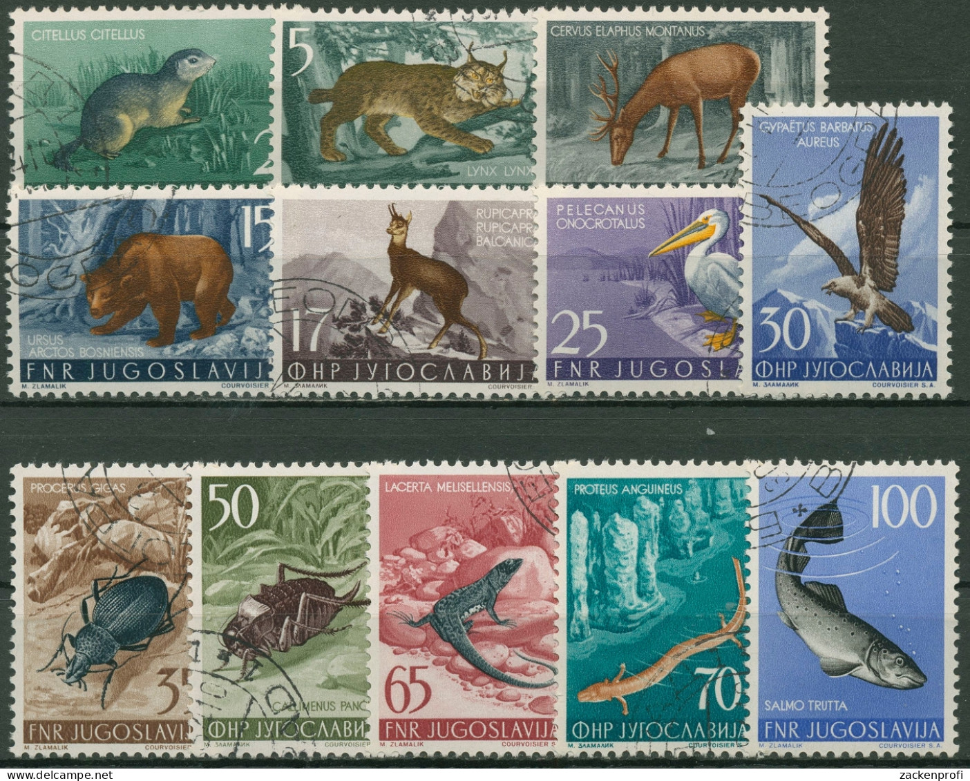 Jugoslawien 1954 Tiere: Bartgeier, Braunbär, Lachsforelle 738/49 Gestempelt - Used Stamps