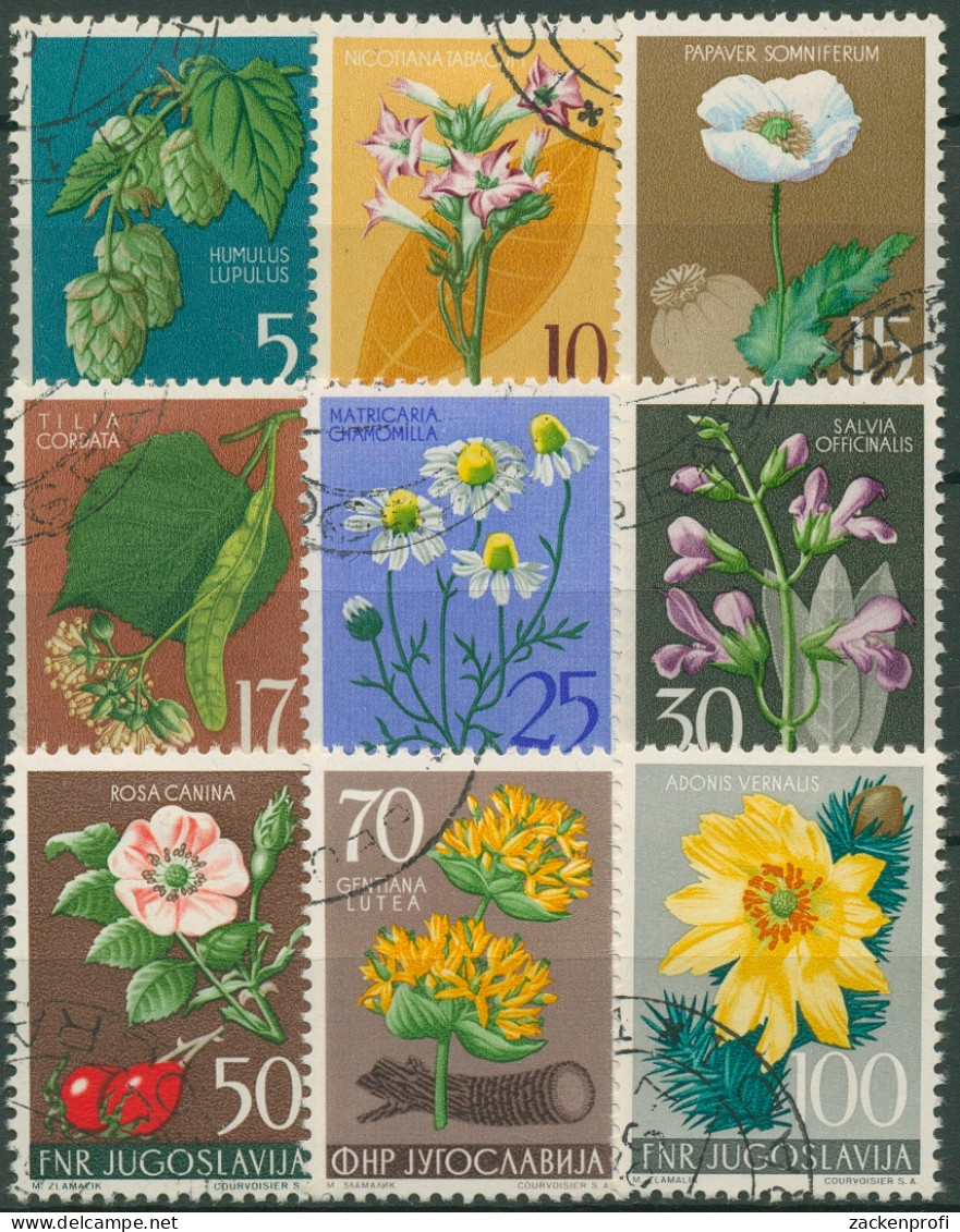 Jugoslawien 1955 Pflanzen Blumen 765/73 Gestempelt - Usati