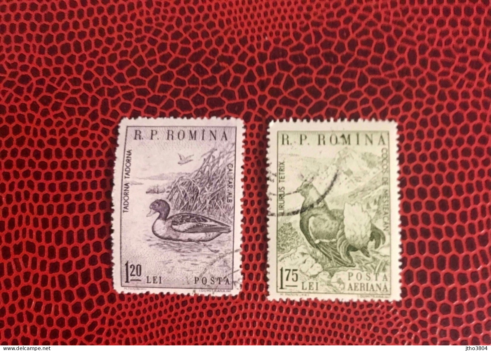 ROUMANIE 1960 2v Used  Pájaro Bird Pássaro Vogel Ucello Oiseau Rumänien Romania - Anatre