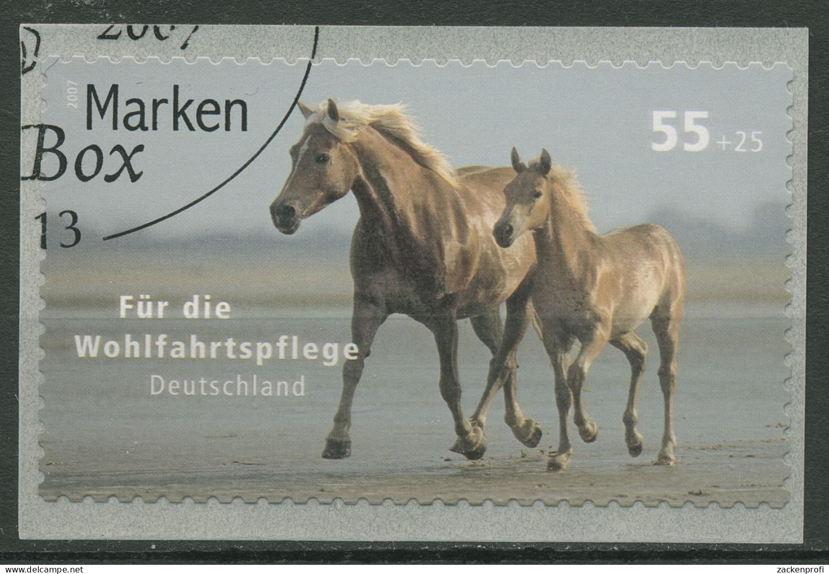 Bund 2007 Wohlfahrt: Haustiere Pferd 2635 Gestempelt - Usati