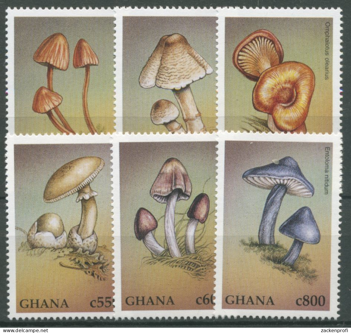 Ghana 1997 Pilze Ölbaumpilz Knollenblätterpilz 2528/33 Postfrisch - Ghana (1957-...)