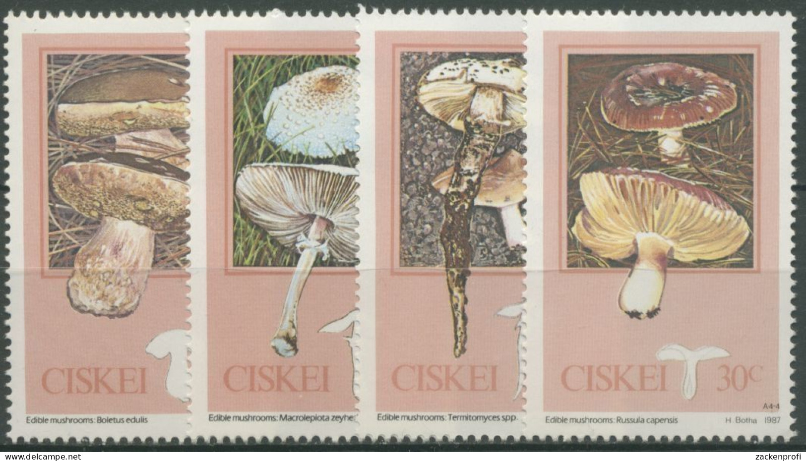 Ciskei 1987 Eßbare Pilze Steinpilz 110/13 Postfrisch - Ciskei