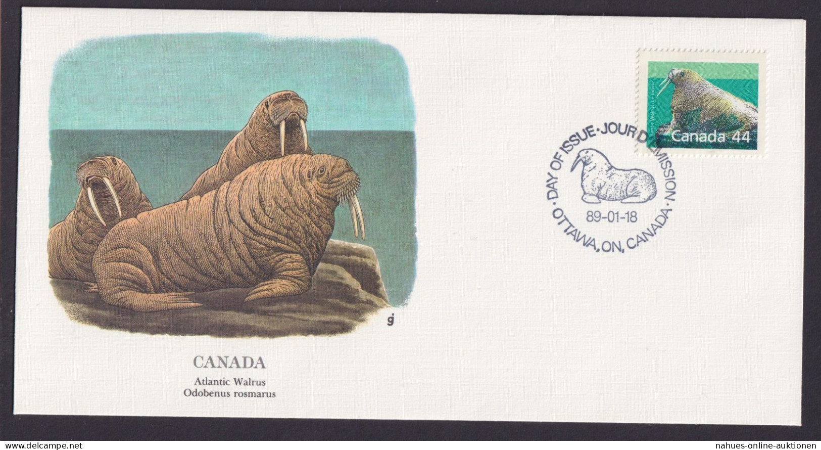 Canada Kanada Nordamerika Fauna Atlantikwalross Schöner Künstler Brief - Storia Postale