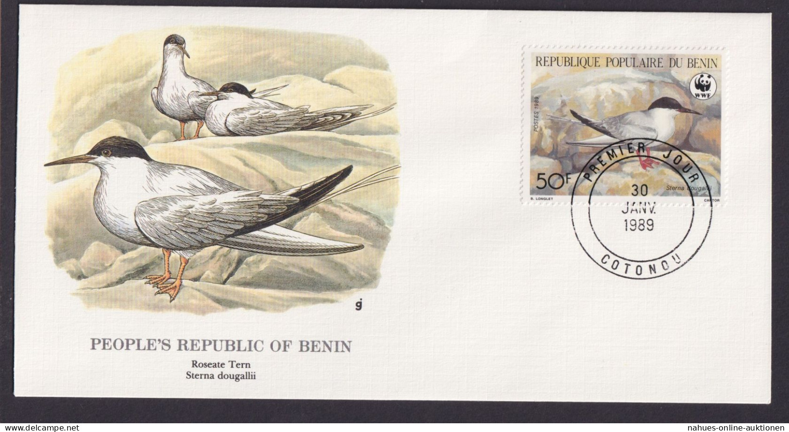 Benin Westafrika Fauna Vogel Seeschwalbe Schöner Künstler Brief - Collezioni (in Album)