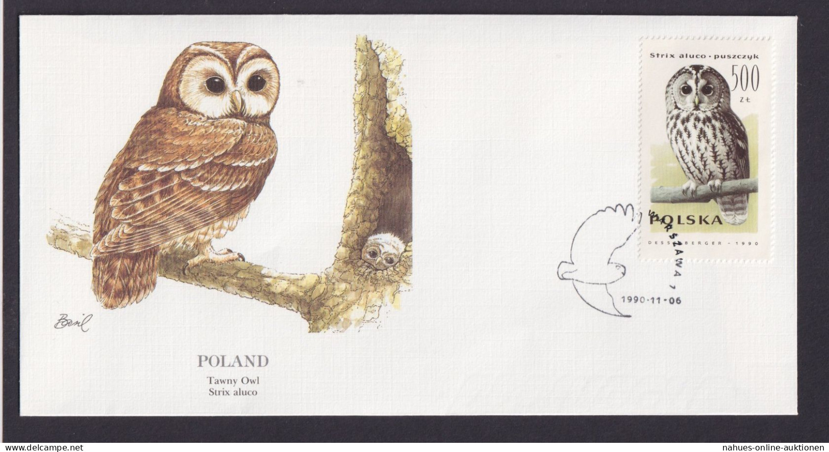 Poland Polen Fauna Tiere Vögel Waldkauz Schöner Künstler Brief - Covers & Documents