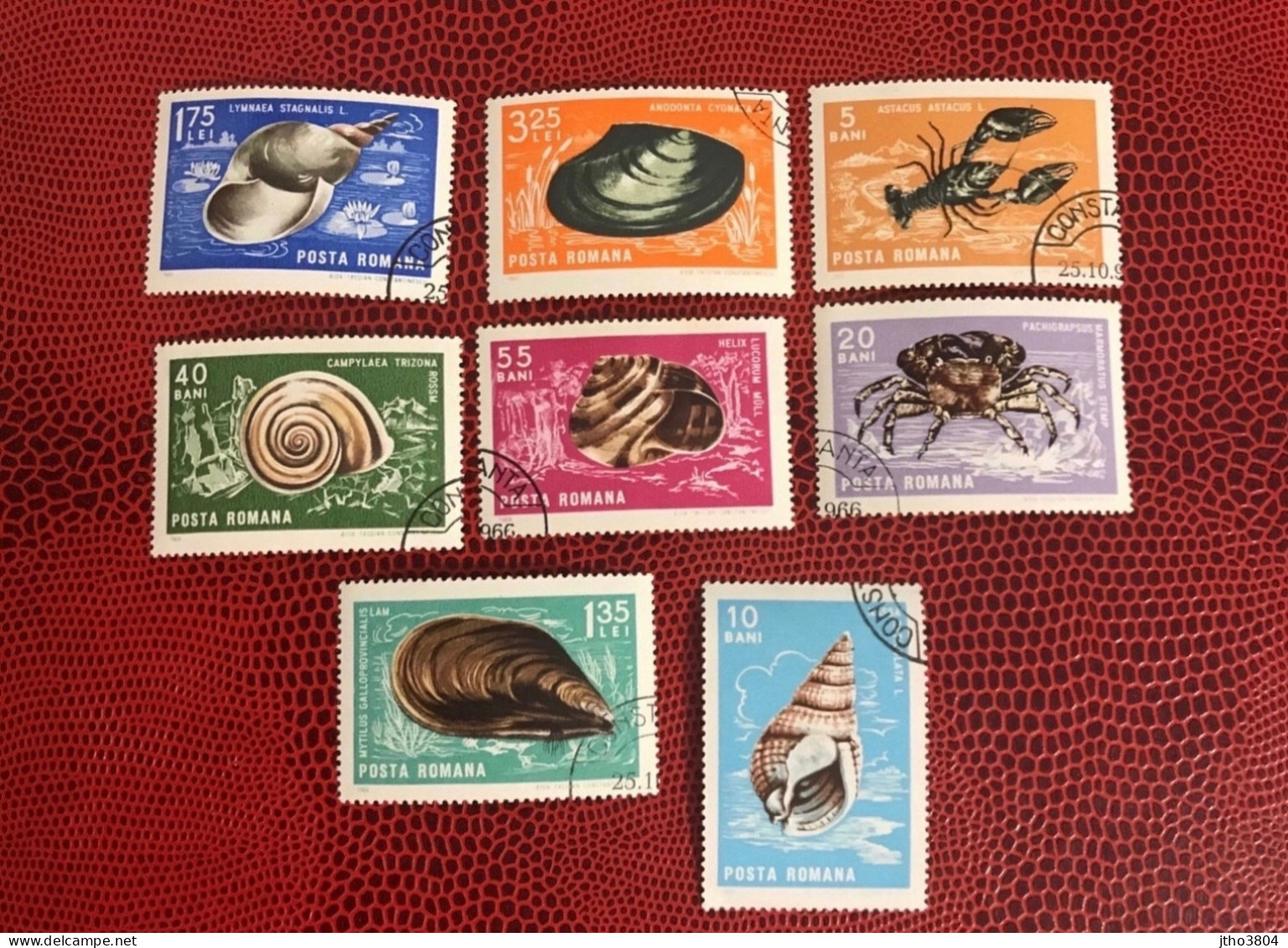 ROUMANIE 1966 7v Used MI 2544 /50 Conchas Shells Muscheln Conchoglie Rumänien Romania - Muscheln