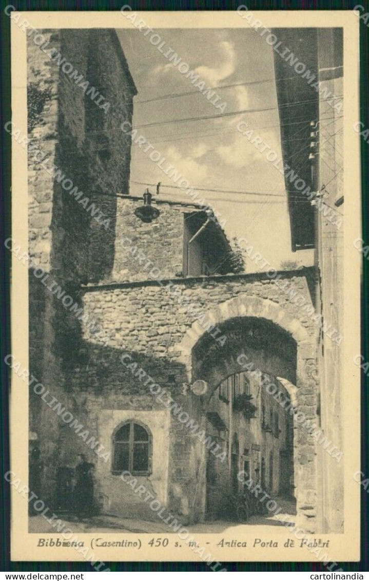 Arezzo Bibbiena Antica Porta Dè Fabbri Cartolina RB6439 - Arezzo