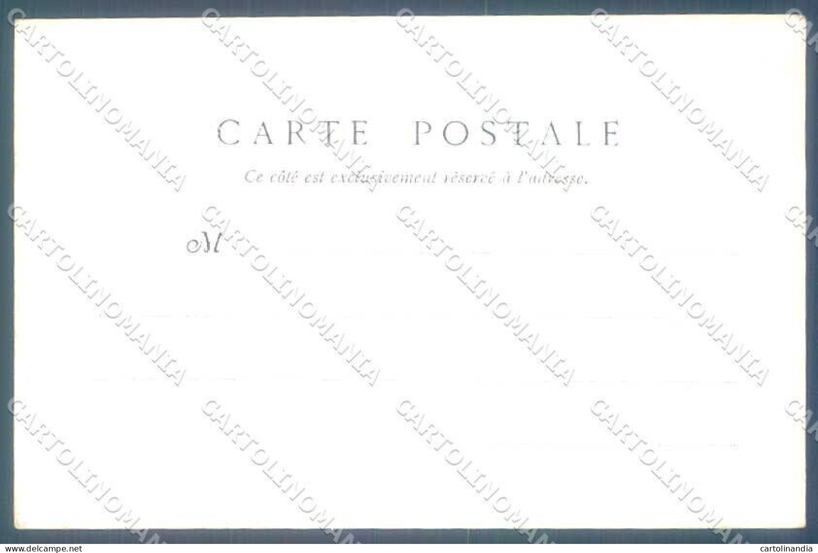 Animali Dog Cane Braque De Ariege Pointer Postcard VK9544 - Autres & Non Classés
