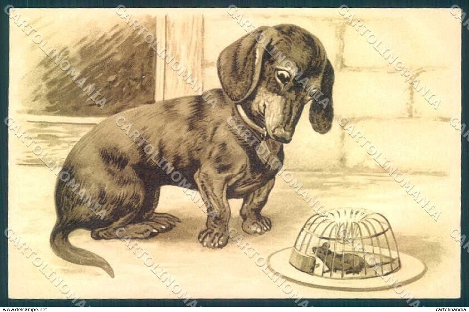 Artist Signed Dachshund Bassotto Relief Mouse Postcard VK9575 - Autres & Non Classés