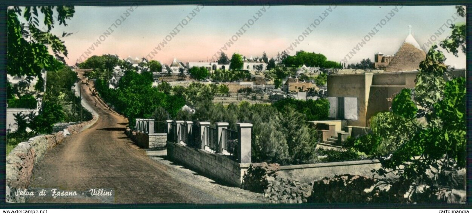 Brindisi Fasano Panoramica Foto FG Cartolina ZK2429 - Brindisi