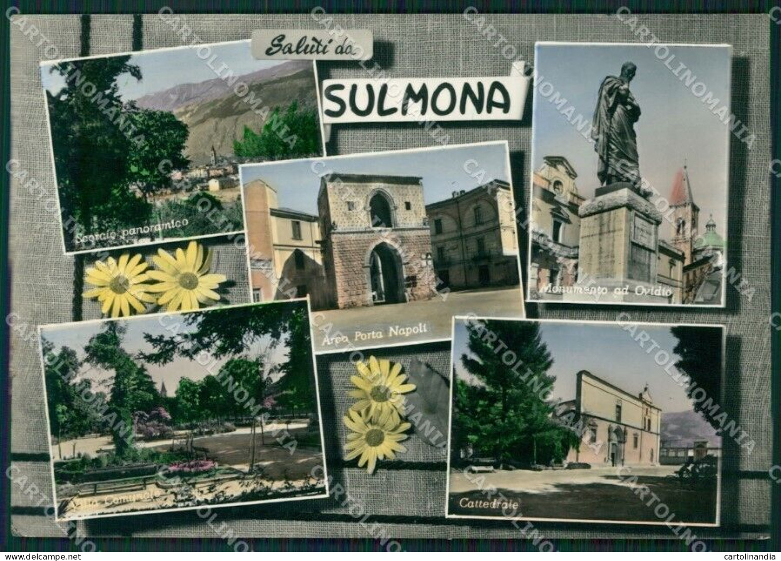 L'Aquila Sulmona Saluti Da Foto FG Cartolina ZKM8371 - L'Aquila
