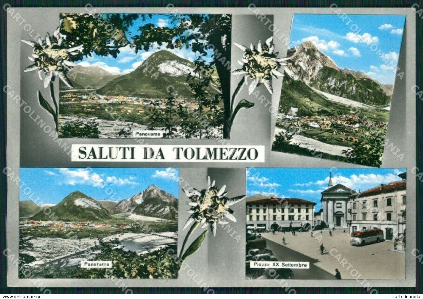 Udine Tolmezzo Saluti Da Foto FG Cartolina ZK3029 - Udine