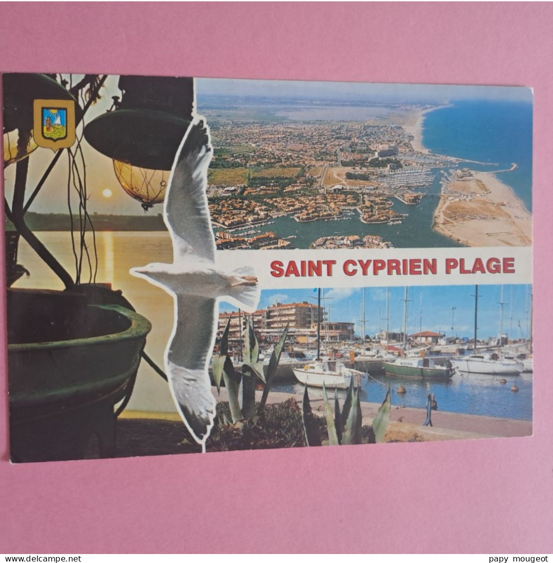 Saint Cyprien Plage - Multi Vues - Saint Cyprien