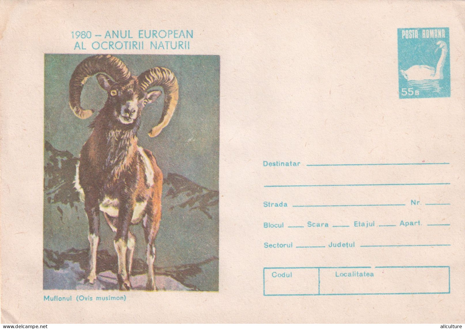 A24667 - Muflonul (Ovis Musimon), Anul European Al Ocrotirii Naturii 1980  COVER STATIONERY, ENTIER POSTAL,   ROMANIA - Enteros Postales