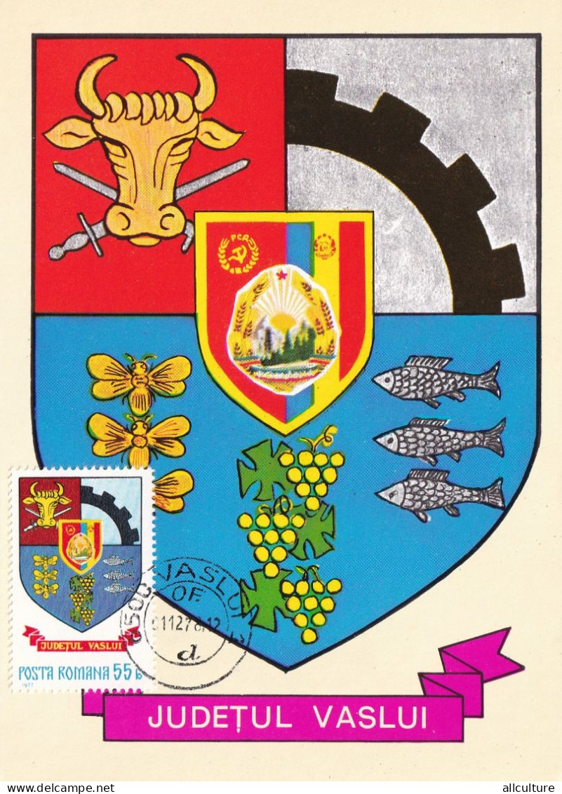 A24673 -  JUDETUL VASLUI   POSTCARD  ROMANIA  MAXIMUM CARD - Cartoline Maximum