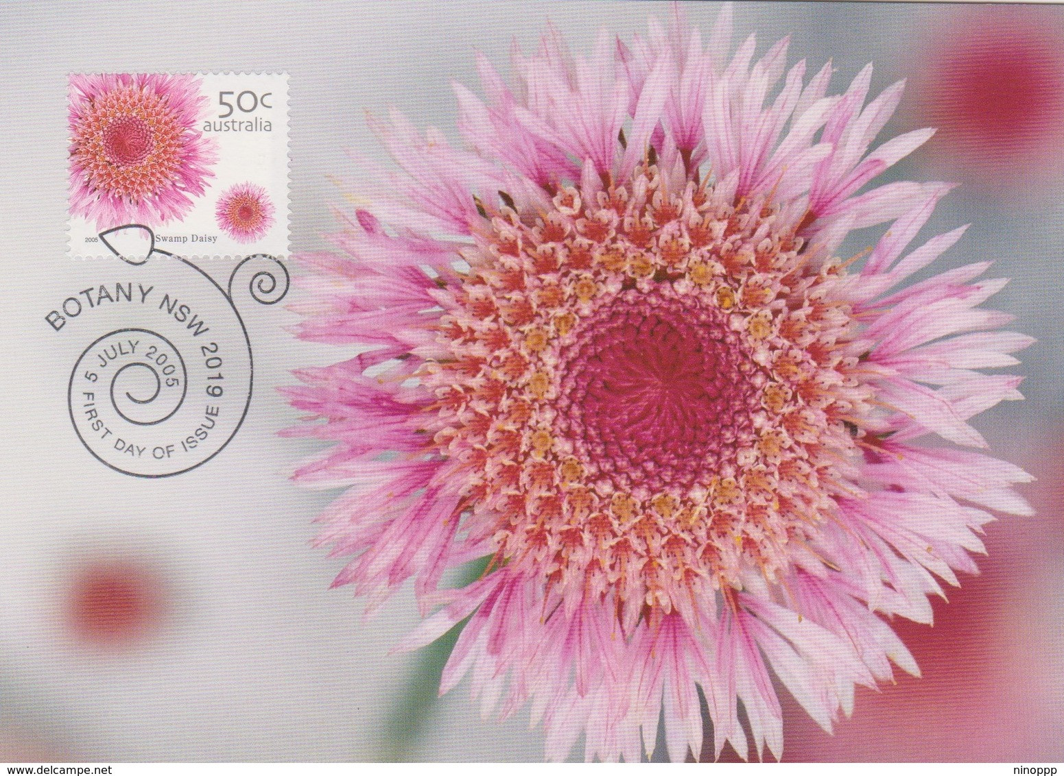 Australia 2005 Flowers,Swamp Daisy, Maximum Card, - Cartes-Maximum (CM)