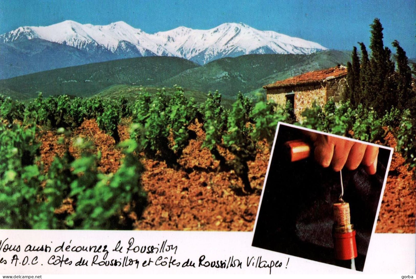 *CPM  - 66 - Mont CANIGOU - Côtes Du Roussillon - Altri & Non Classificati