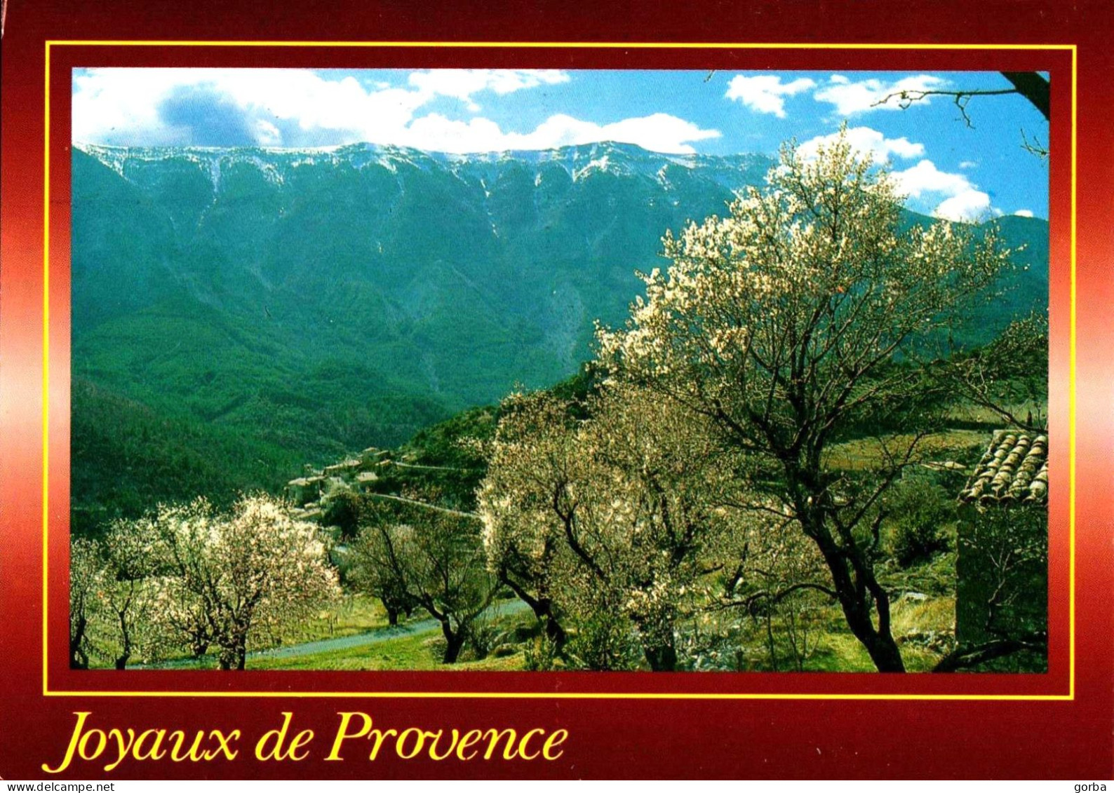 *CPM  - 84 - Le Mont VENTOUX - Joyaux De Provence - Altri & Non Classificati