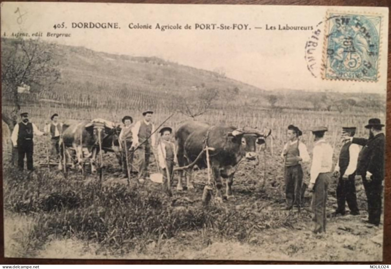 Cpa 24 Dordogne, Colonie Agricole De Port Ste Foy, Les Laboureurs, Animée, Boeufs, éd Astruc, écrite En 1905 - Altri & Non Classificati