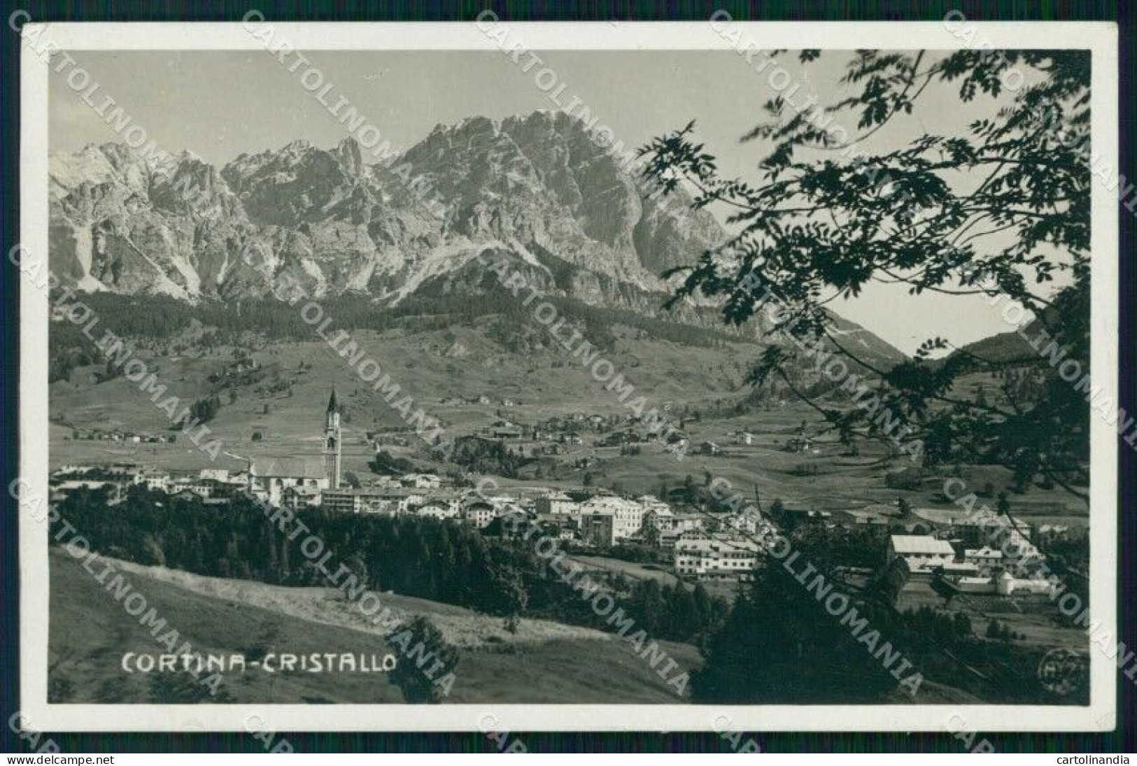 Belluno Cortina D'Ampezzo Monte Cristallo Foto Zardini Cartolina RB6593 - Belluno