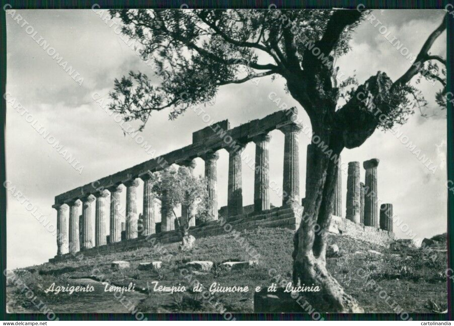 Agrigento Città Templi Foto FG Cartolina ZKM7630 - Agrigento