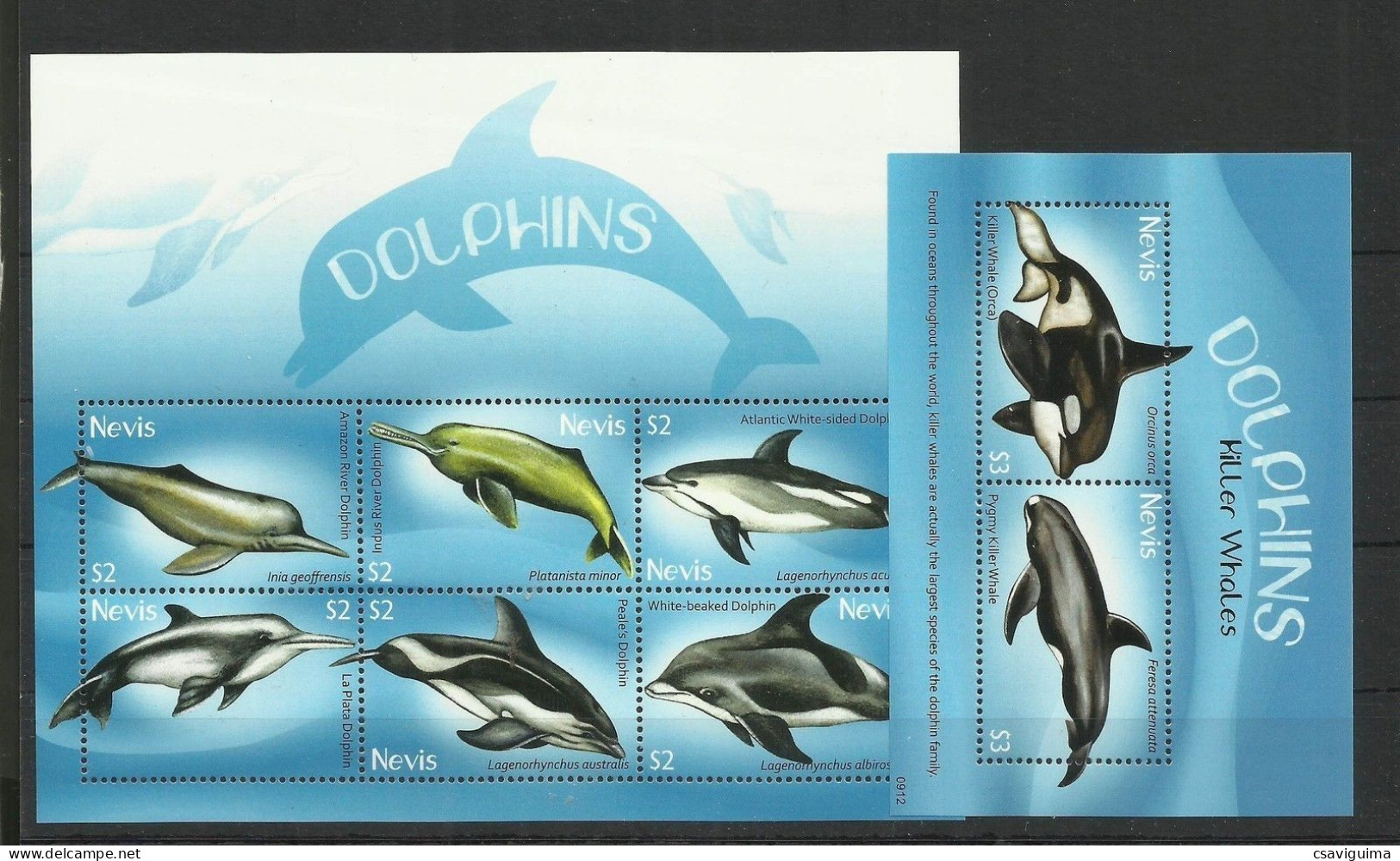 Nevis - 2009 - Dolphins - Yv 2077/82 + Bf 285 - Delfines