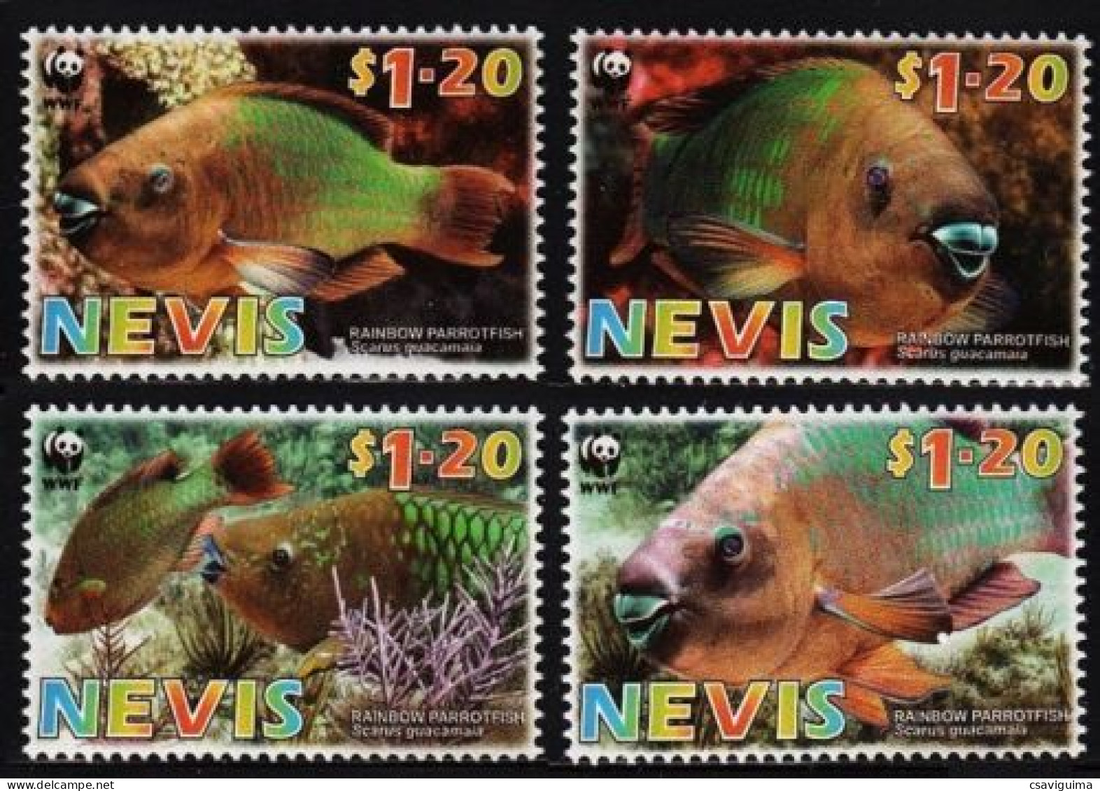 Nevis - 2007 - Parrot Fish  - Yv 1938/41 - Fische