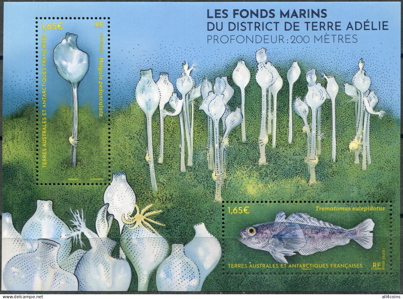 TAAF 2024. The Seabed Of Adélie Land (MNH OG) Souvenir Sheet - Ongebruikt