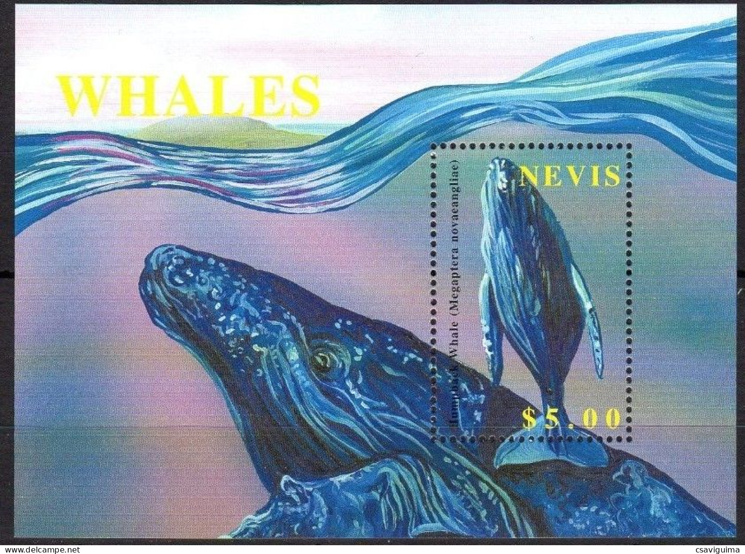 Nevis - 2002 - Whales - Yv  Bf 212 - Ballenas