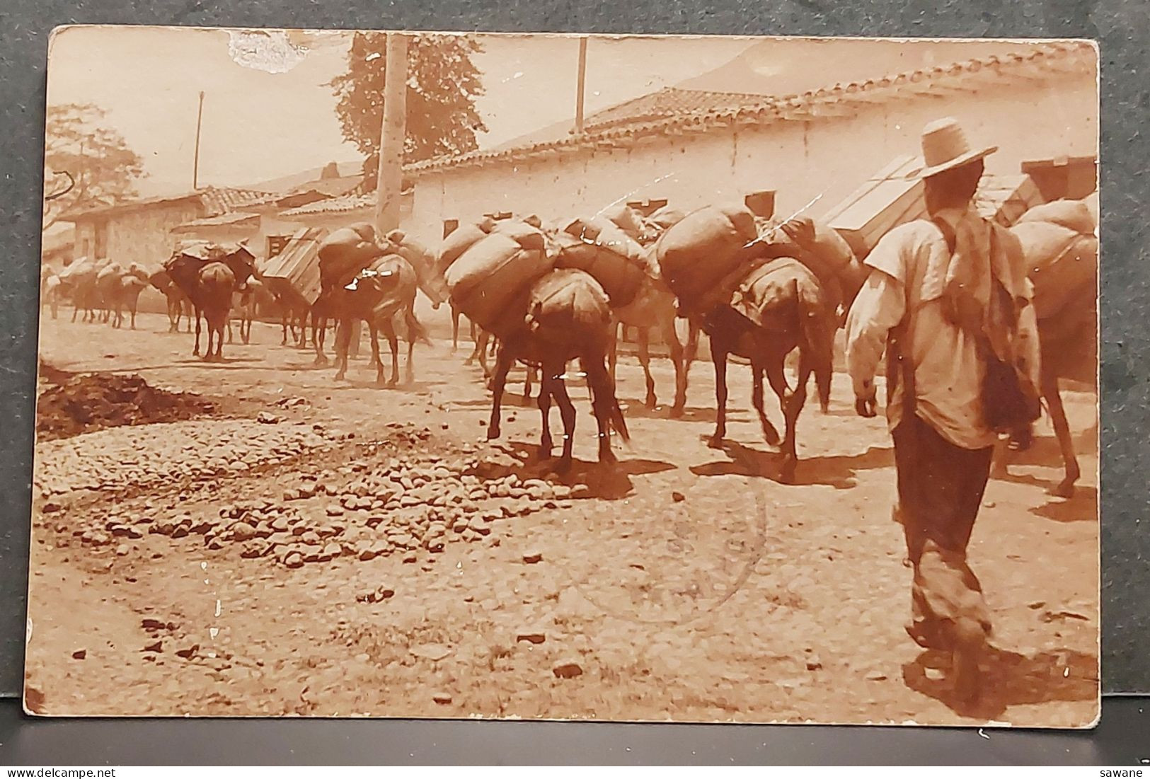 COLOMBIA , FOTOGRAFFA ESCOVAR , MEDELLIN , CALLE DE COLOMBIA , LOT 186 - Colombie