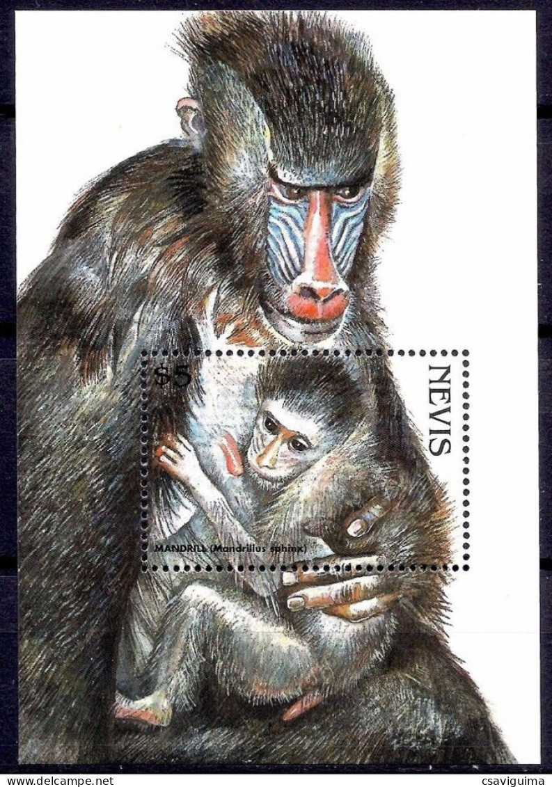 Nevis - 1998 - Monkeys - Yv Bf 143 - Monkeys