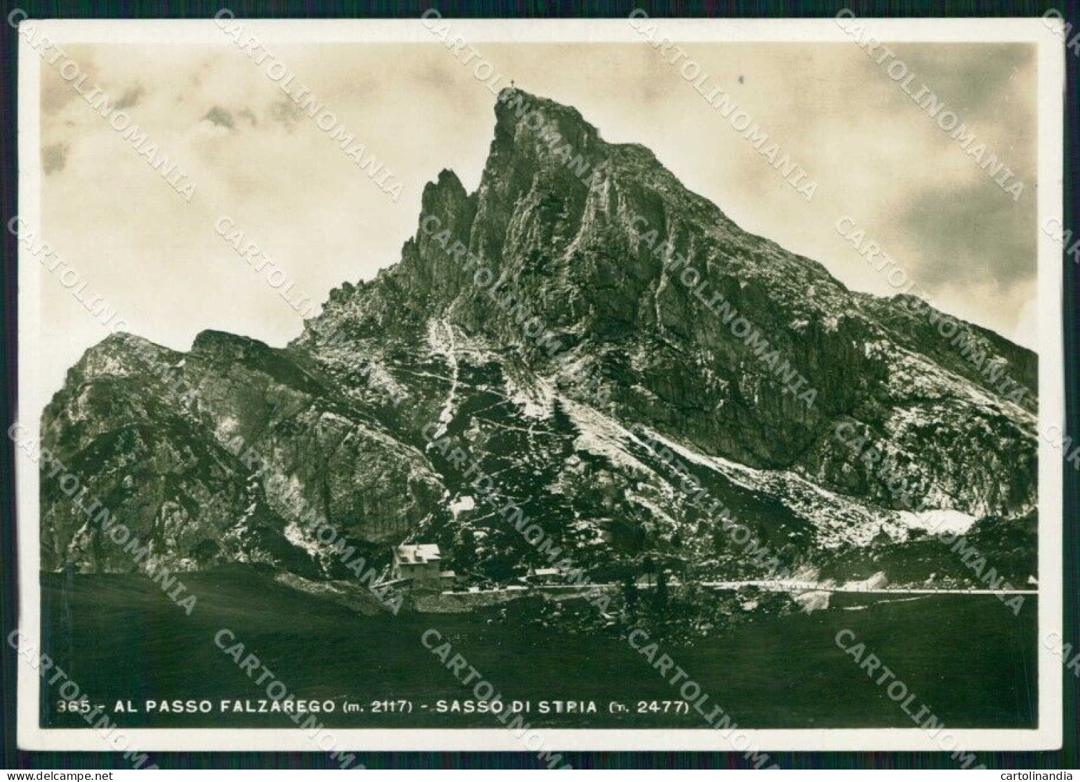 Belluno Borca Di Cadore Passo Falzarego Sasso Di Stria FG Foto Cartolina RB6527 - Belluno
